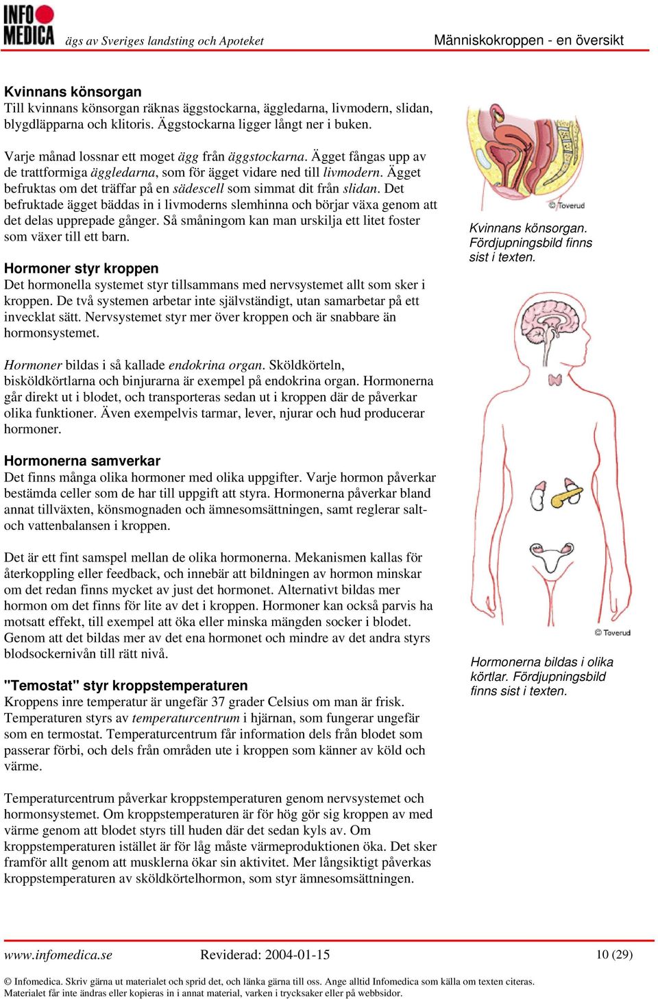 Ägget befruktas om det träffar på en sädescell som simmat dit från slidan. Det befruktade ägget bäddas in i livmoderns slemhinna och börjar växa genom att det delas upprepade gånger.