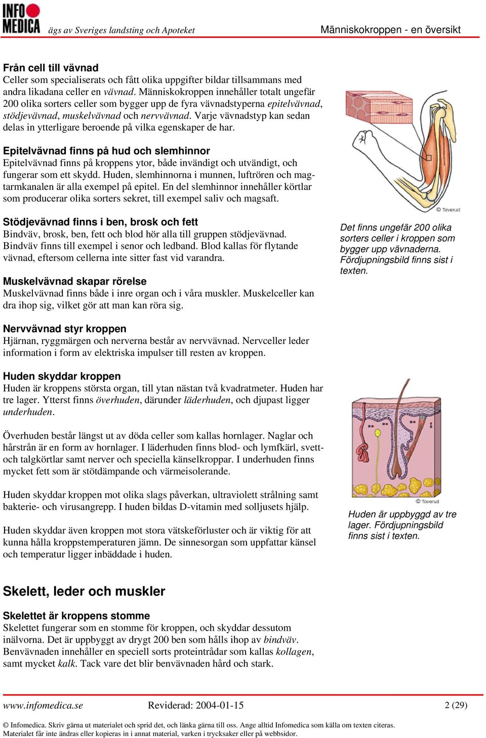 Varje vävnadstyp kan sedan delas in ytterligare beroende på vilka egenskaper de har.