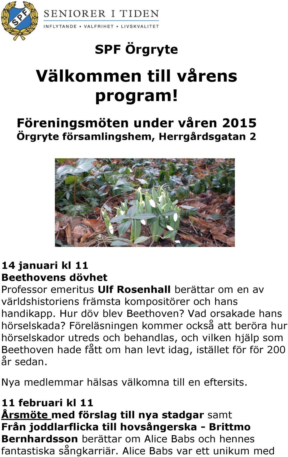 kompositörer och hans handikapp. Hur döv blev Beethoven? Vad orsakade hans hörselskada?