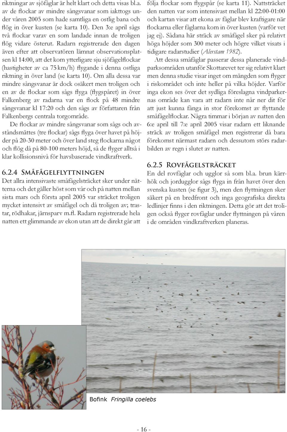 Radarn registrerade den dagen även efter att observatören lämnat observationsplatsen kl 14:00, att det kom ytterligare sju sjöfågelflockar (hastigheter av ca 75 km/h) flygande i denna ostliga