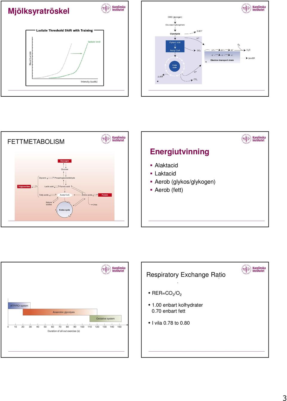 (fett) Respiratory Exchange Ratio.. RER=CO 2 /O 2 1.