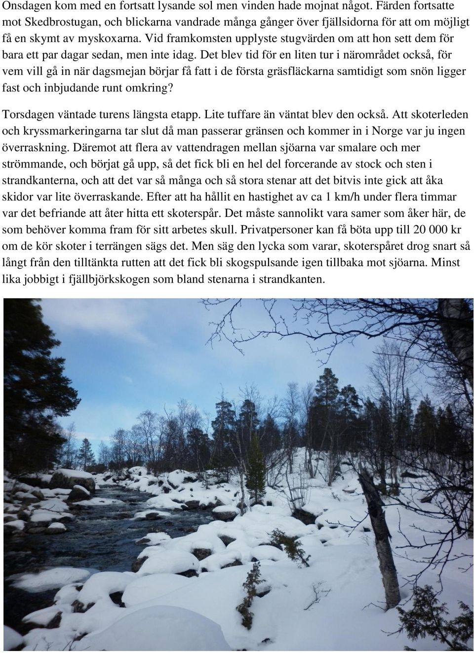 Vid framkomsten upplyste stugvärden om att hon sett dem för bara ett par dagar sedan, men inte idag.