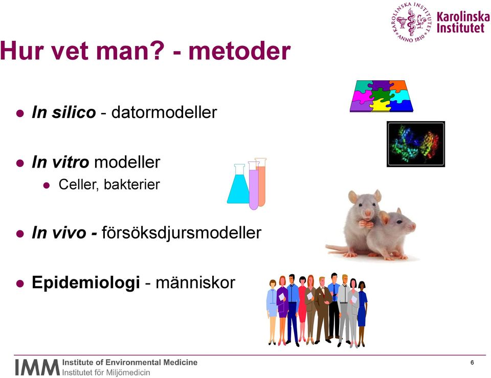 In vitro modeller Celler, bakterier
