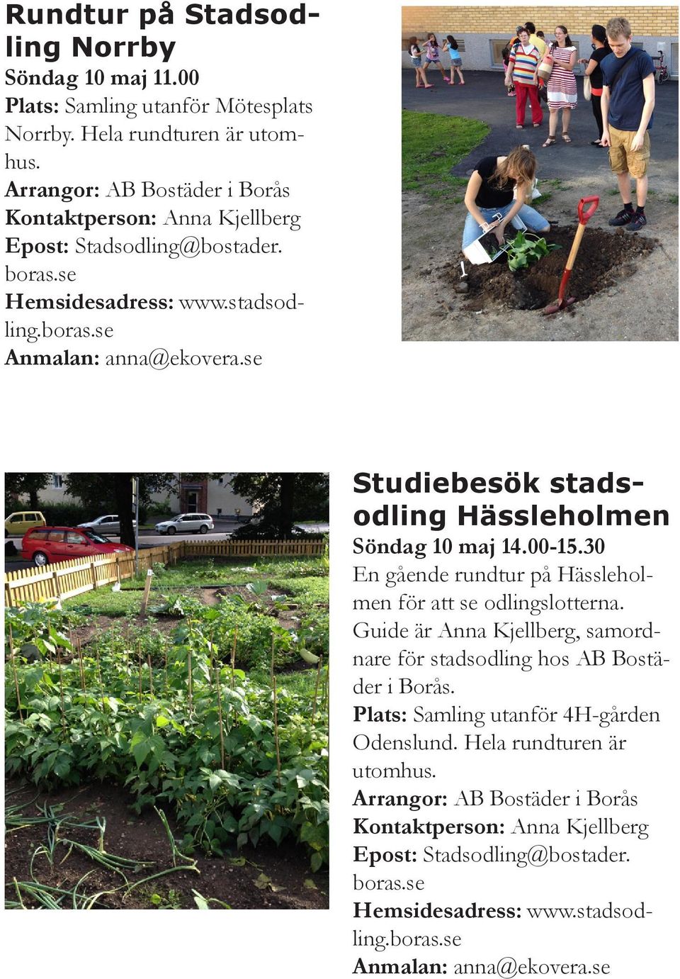 se Studiebesök stadsodling Hässleholmen Söndag 10 maj 14.00-15.30 En gående rundtur på Hässleholmen för att se odlingslotterna.