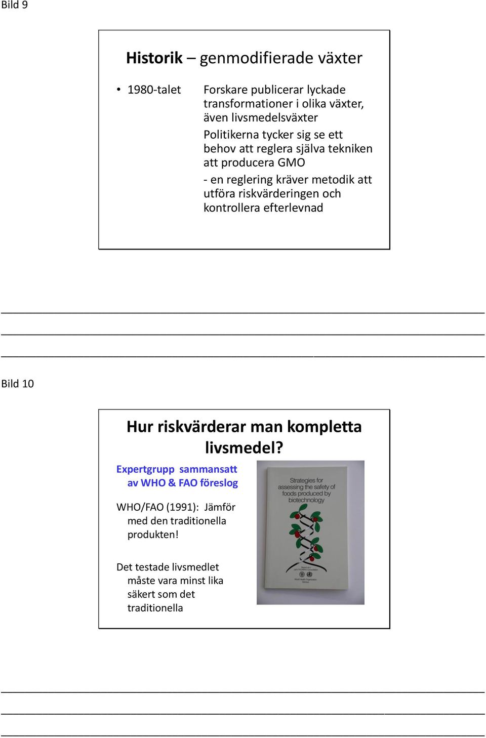 att utföra riskvärderingen och kontrollera efterlevnad Bild 10 Hur riskvärderar man kompletta livsmedel?