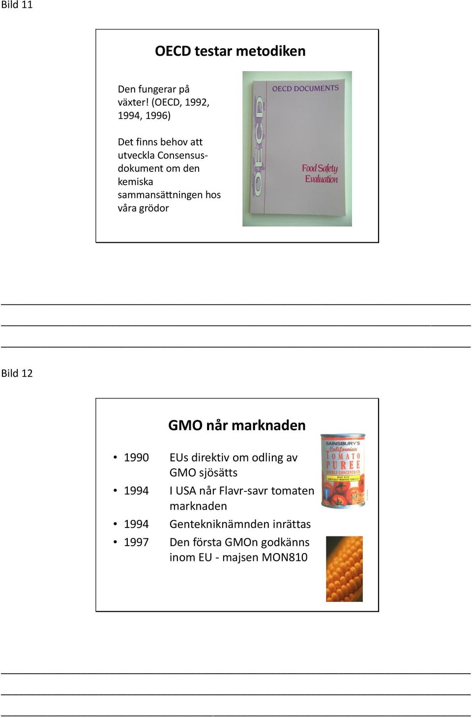 sammansättningen hos våra grödor Bild 12 GMO når marknaden 1990 1994 1994 1997 EUs direktiv