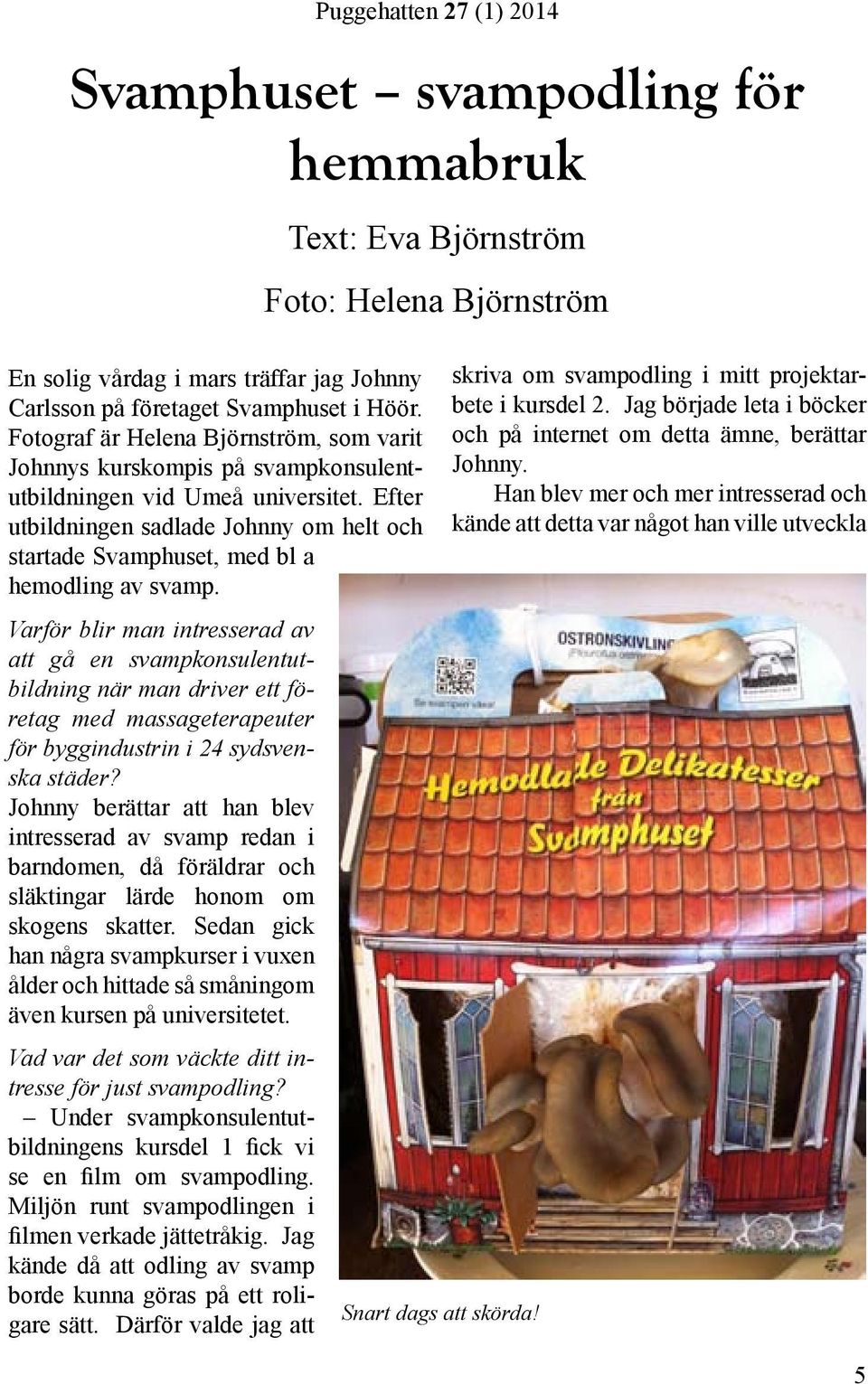Varför blir man intresserad av att gå en svampkonsulentutbildning när man driver ett företag med massageterapeuter för byggindustrin i 24 sydsvenska städer?