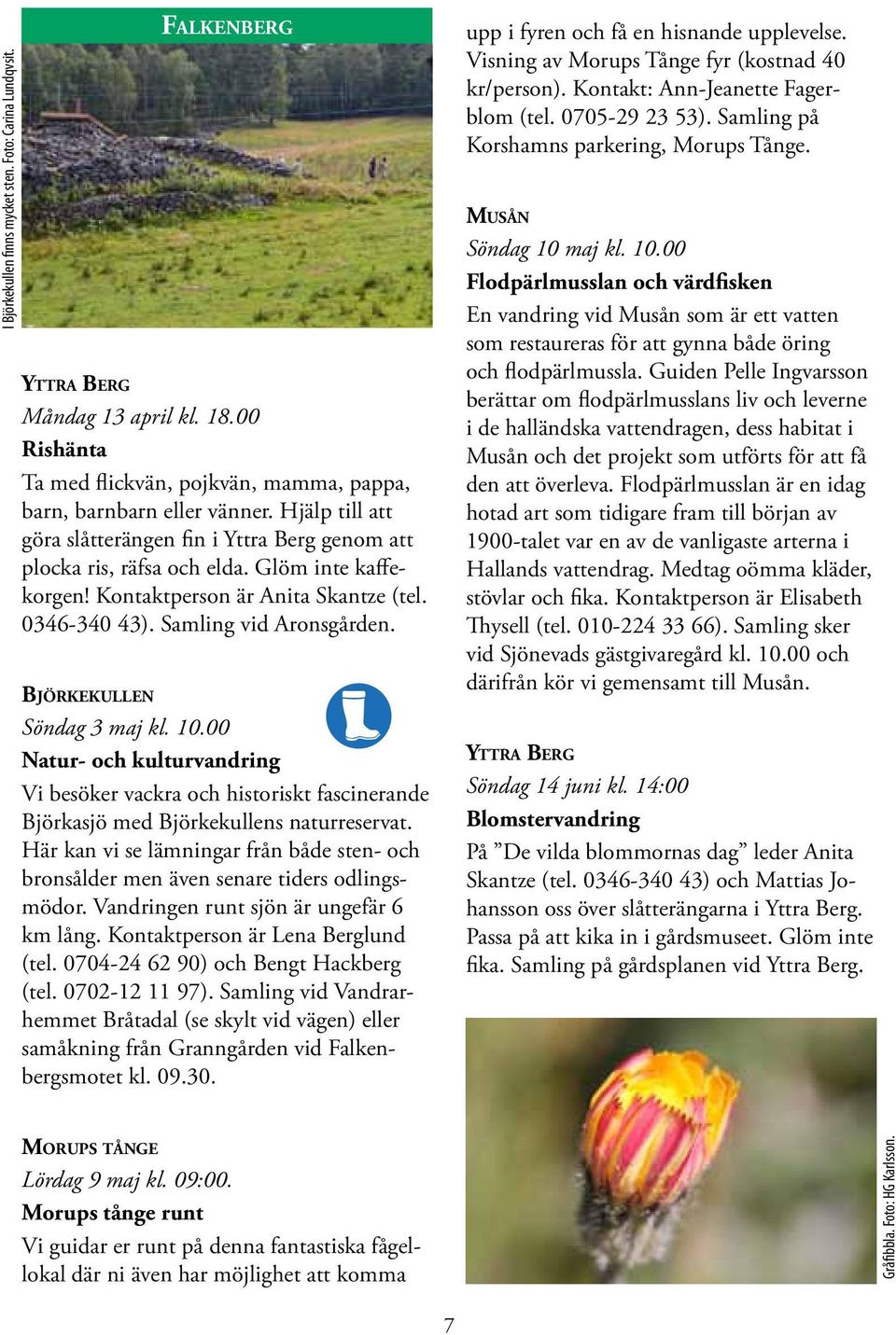 Björkekullen Söndag 3 maj kl. 10.00 Natur- och kulturvandring Vi besöker vackra och historiskt fascinerande Björkasjö med Björkekullens naturreservat.