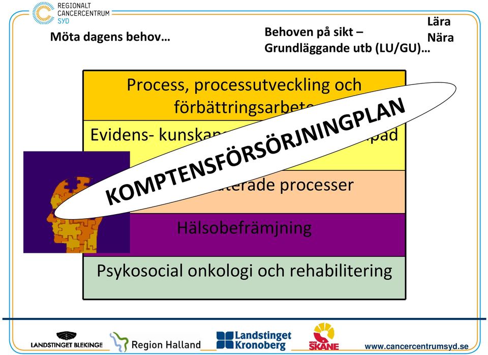 och tillämpad pedagogik Diagnosrelaterade processer