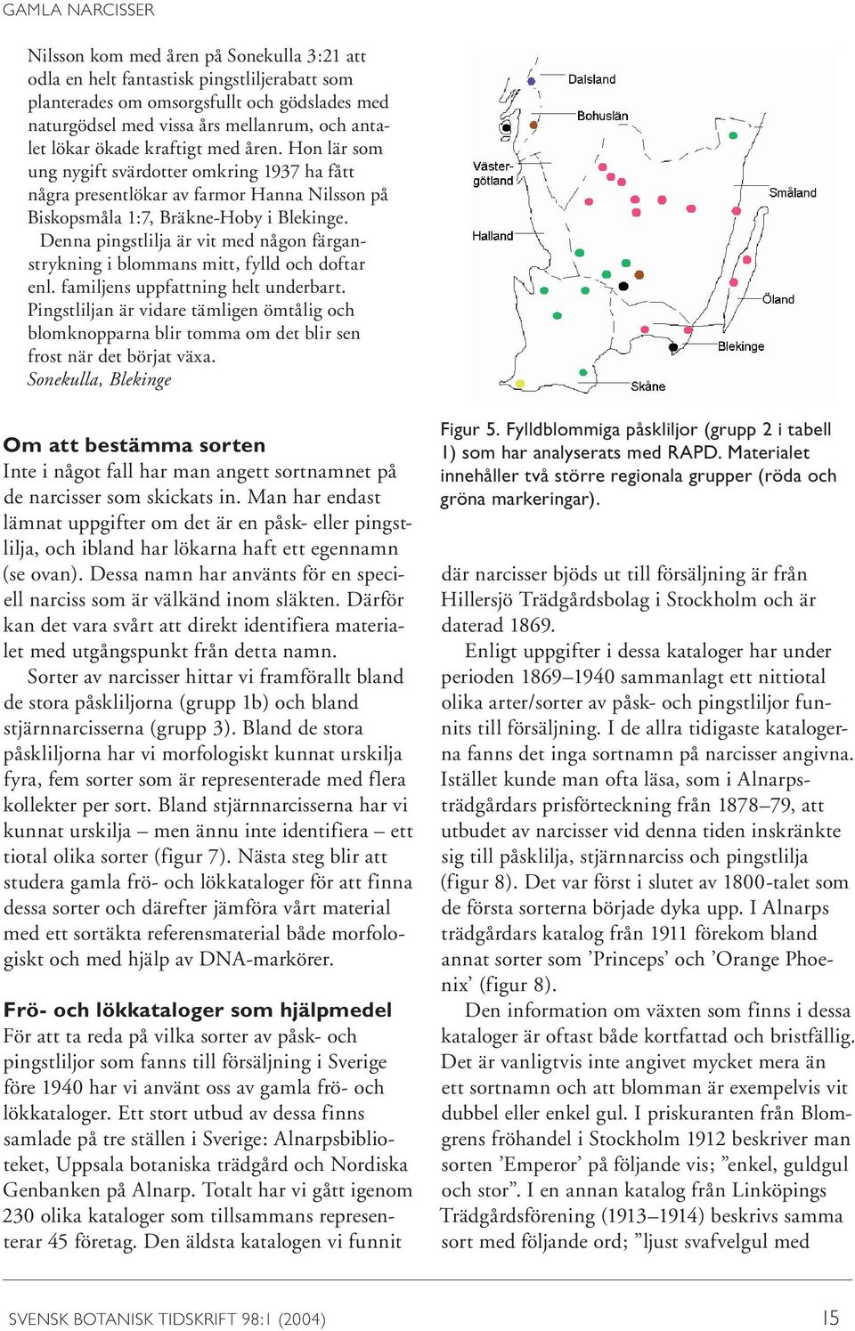Denna pingstlilja är vit med någon färganstrykning i blommans mitt, fylld och doftar enl. familjens uppfattning helt underbart.