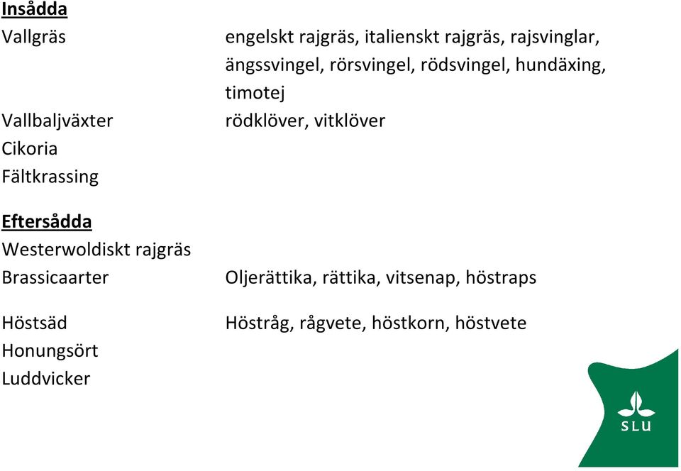 rajgräs, rajsvinglar, ängssvingel, rörsvingel, rödsvingel, hundäxing, timotej