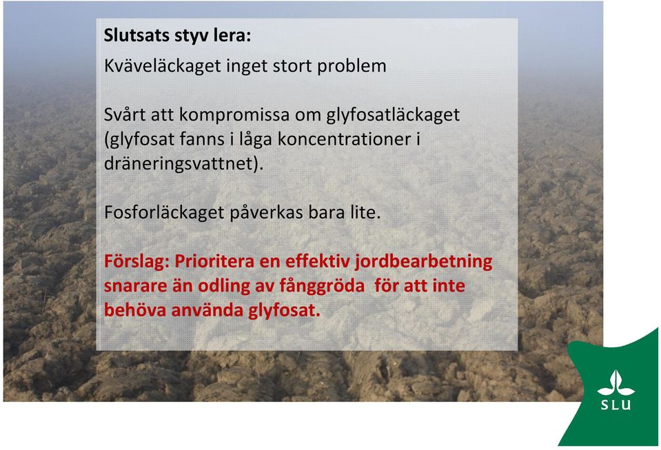 dräneringsvattnet). Fosforläckaget påverkas bara lite.