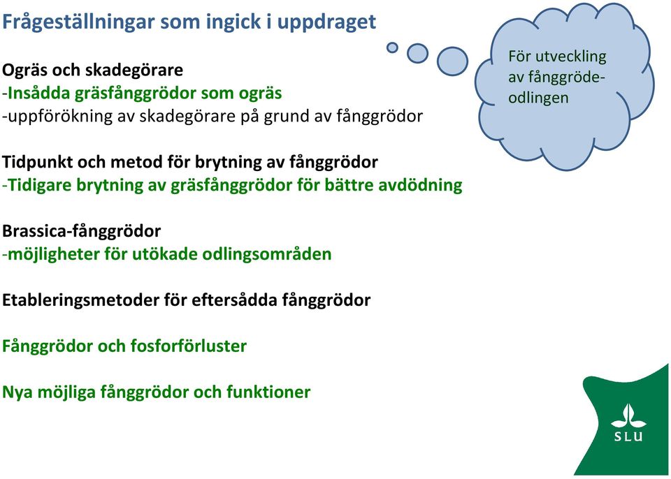 fånggrödor -Tidigare brytning av gräsfånggrödor för bättre avdödning Brassica-fånggrödor -möjligheter för utökade