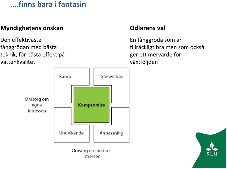 effekt på vattenkvalitet Odlarens val En fånggröda som