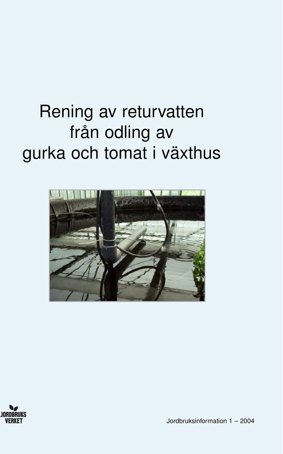 och tomat i växthus