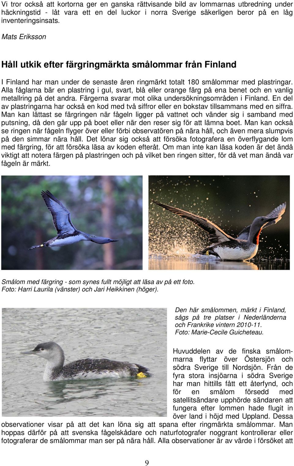 Alla fåglarna bär en plastring i gul, svart, blå eller orange färg på ena benet och en vanlig metallring på det andra. Färgerna svarar mot olika undersökningsområden i Finland.
