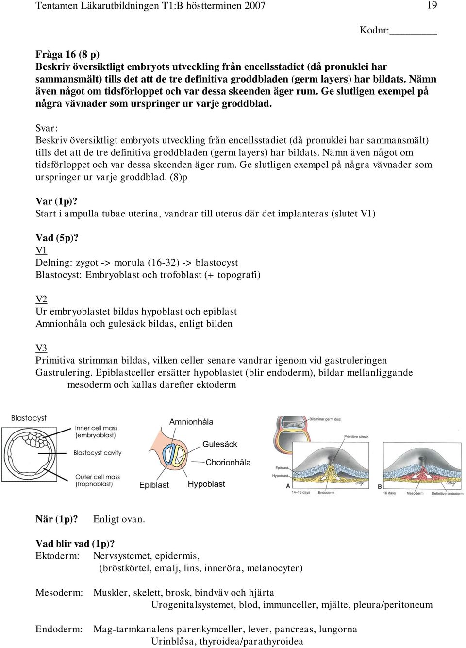 Svar: Beskriv översiktligt embryots utveckling från encellsstadiet (då pronuklei har sammansmält) tills det att de tre definitiva groddbladen (germ layers) har bildats.  (8)p Var (1p)?