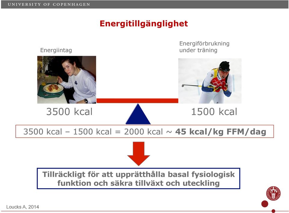 2000 kcal ~ 45 kcalkg FFMdag Tillräckligt för att upprätthålla