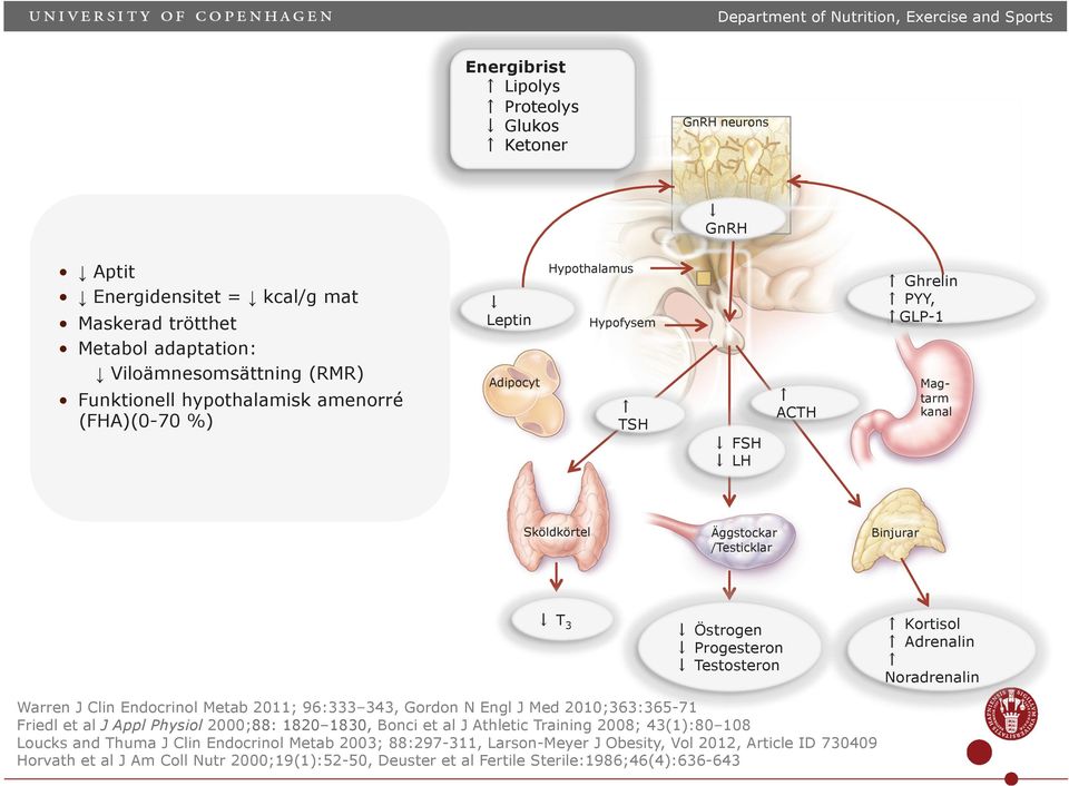 Tsticklar Binjurar Östrn Prstron Tstostron Warrn J Clin Endocrinol Mtab 2011; 96:333 343, Gordon N Engl J Md 2010;363:365-71 Fridl t al J Appl Physiol 2000;88: 1820 1830, Bonci t al J Athltic Train