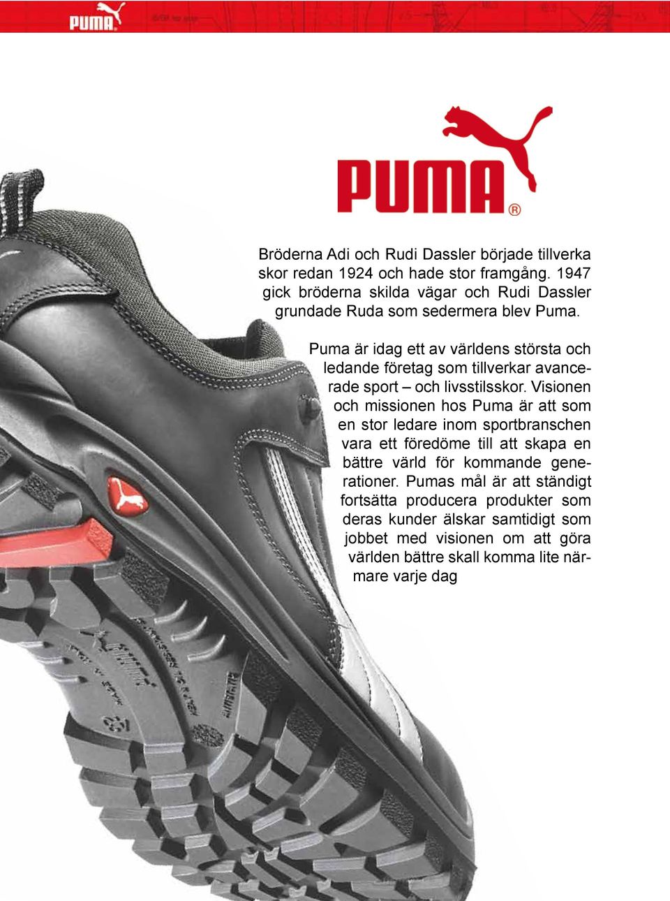 Puma är idag ett av världens största och ledande företag som tillverkar avancerade sport och livsstilsskor.
