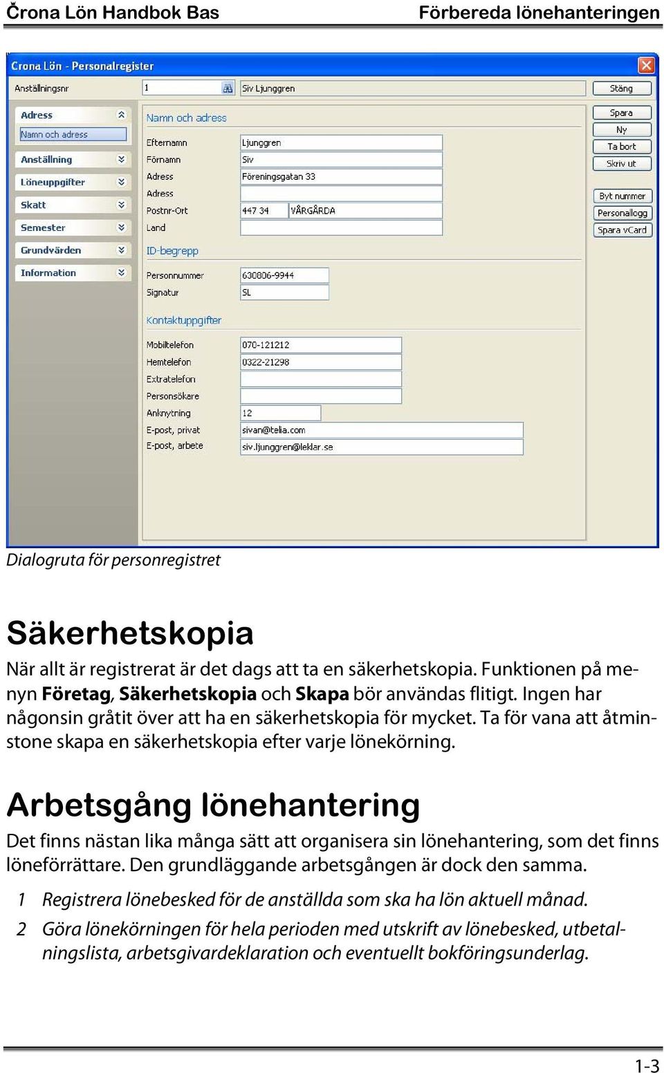 Ta för vana att åtminstone skapa en säkerhetskopia efter varje lönekörning.