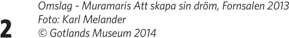 Fornsalen 2013 Foto: