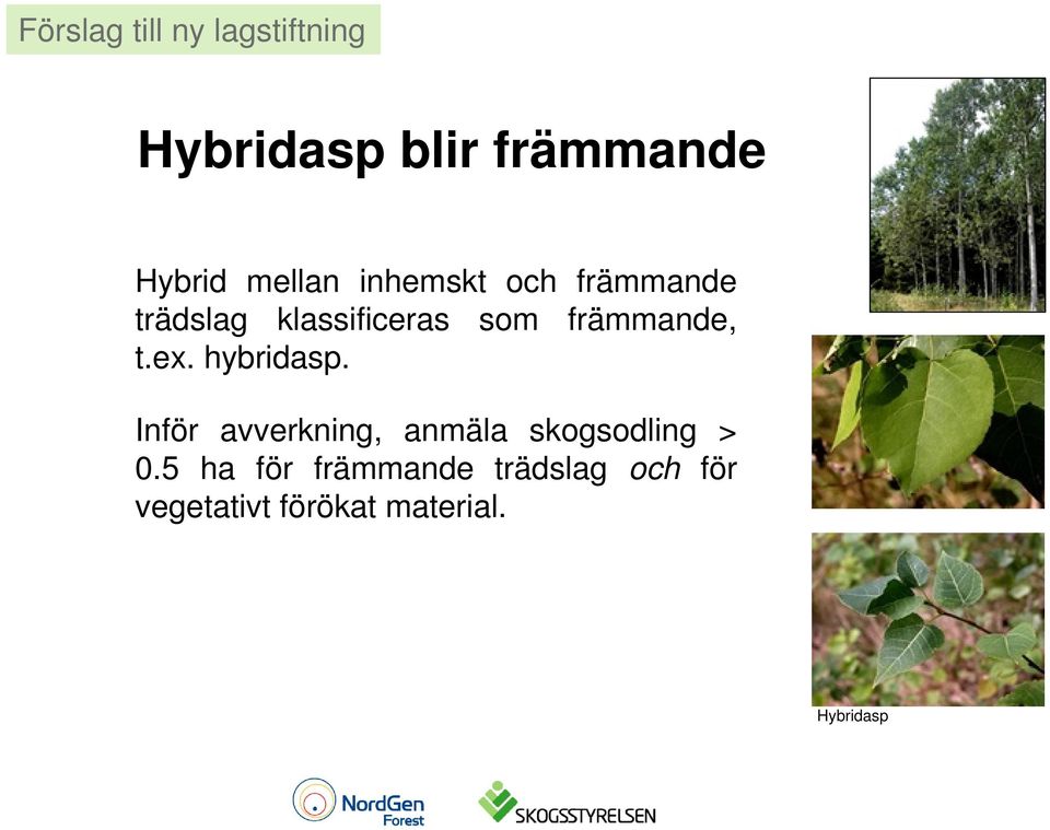 främmande, t.ex. hybridasp.