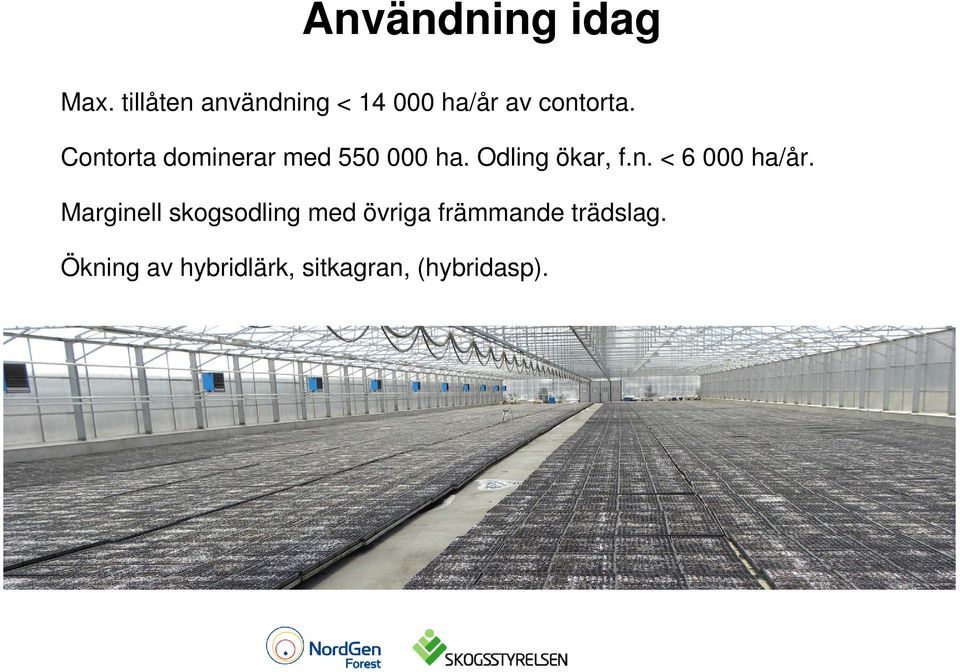 Contorta dominerar med 550 000 ha. Odling ökar, f.n. < 6 000 ha/år.