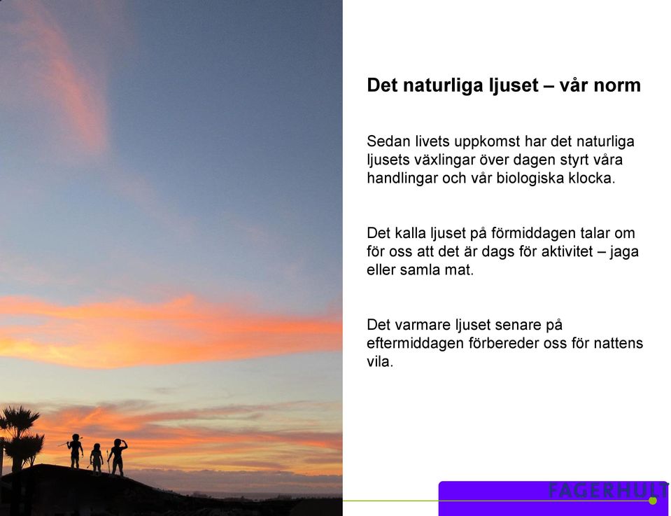 Det kalla ljuset på förmiddagen talar om för oss att det är dags för aktivitet