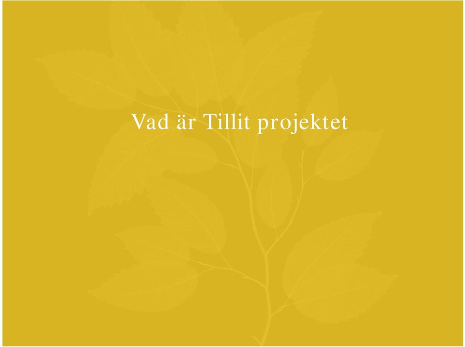 projektet