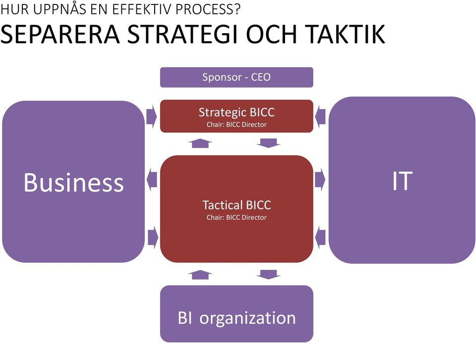 Strategic BICC Chair: BICC Director