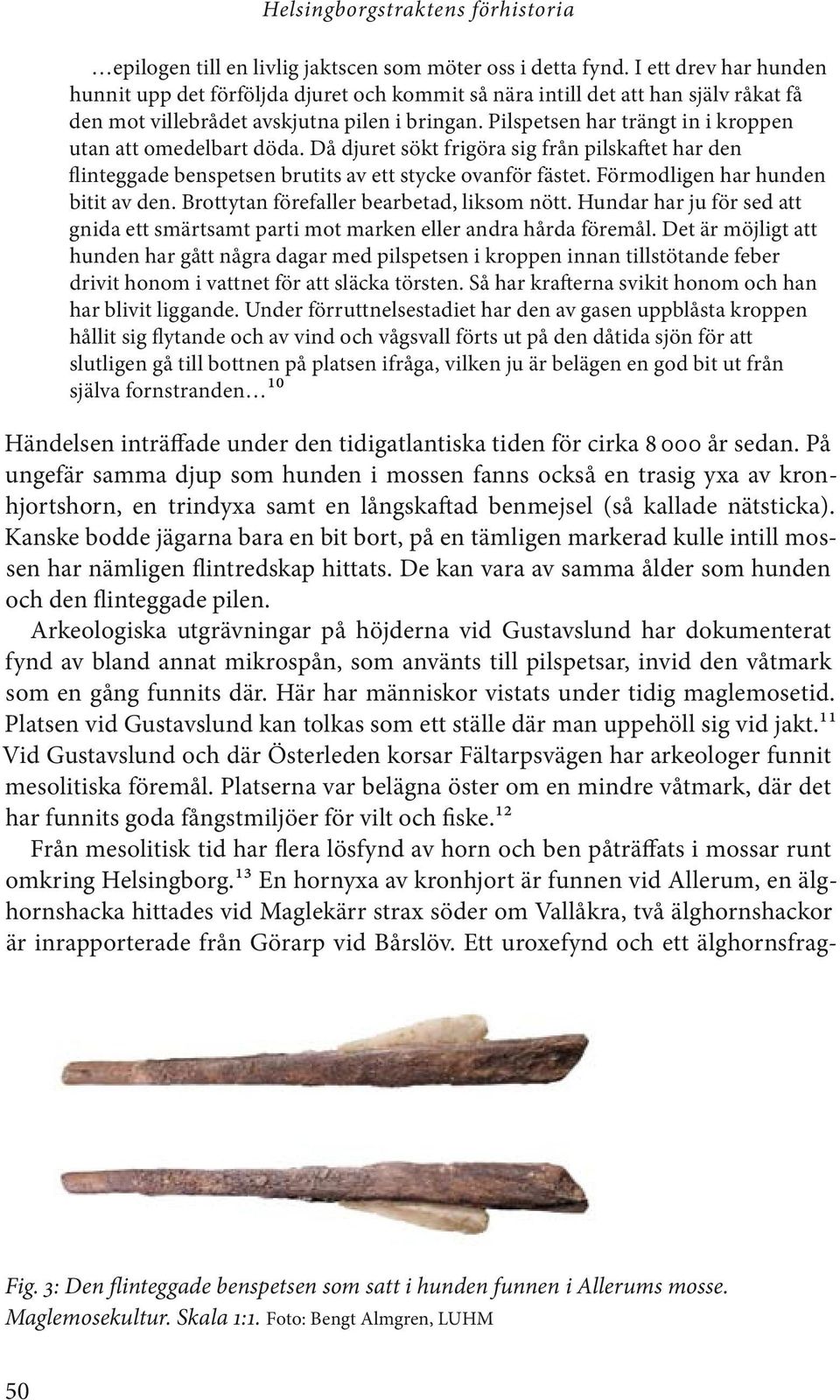 Pilspetsen har trängt in i kroppen utan att omedelbart döda. Då djuret sökt frigöra sig från pilskaftet har den flinteggade benspetsen brutits av ett stycke ovanför fästet.