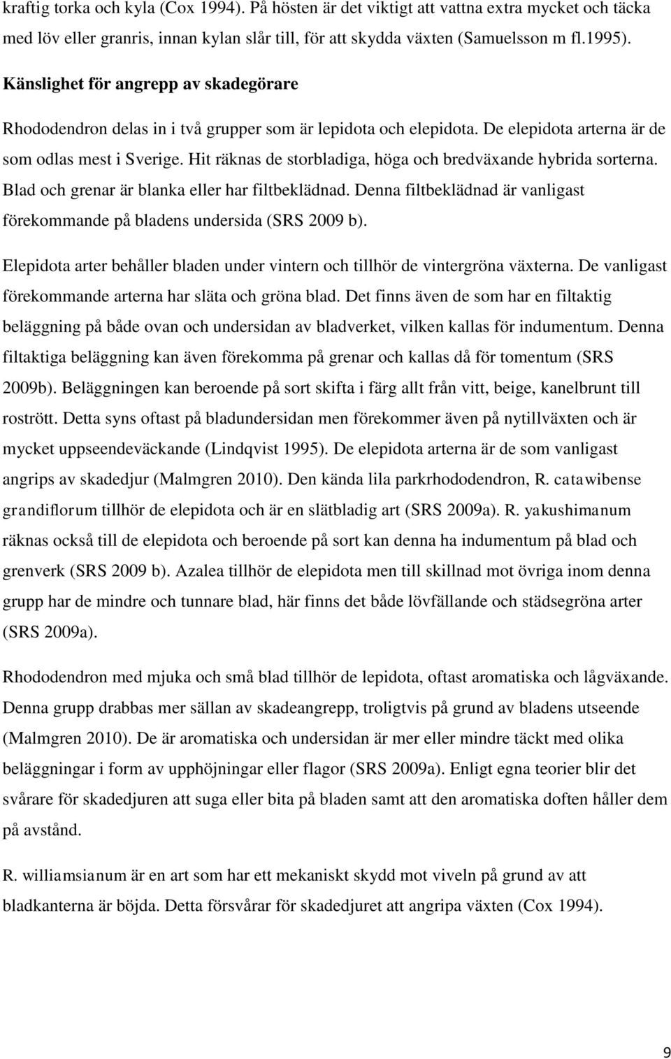Hit räknas de storbladiga, höga och bredväxande hybrida sorterna. Blad och grenar är blanka eller har filtbeklädnad. Denna filtbeklädnad är vanligast förekommande på bladens undersida (SRS 2009 b).
