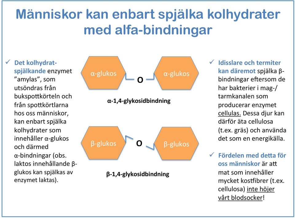 α- glukos β- glukos O α- 1,4- glykosidbindning O β- 1,4- glykosidbindning α- glukos β- glukos ü Idisslare och termiter kan däremot spjälka β- bindningar e`ersom de har bakterier i mag- /