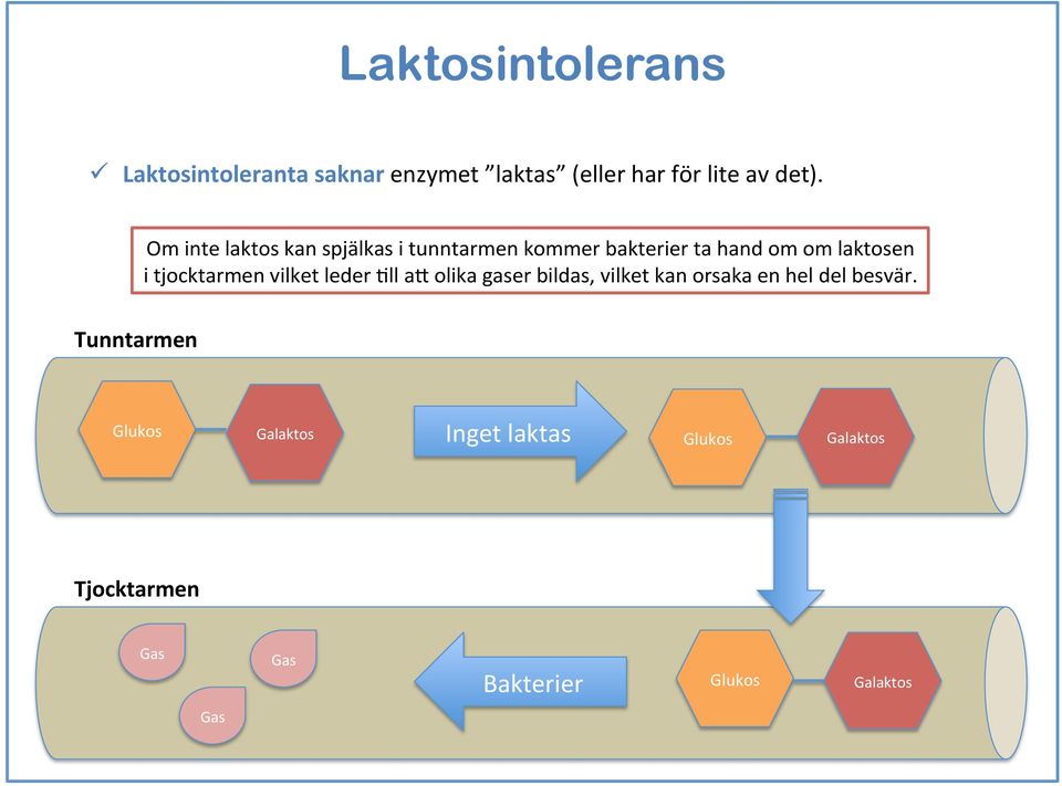 i tjocktarmen vilket leder All a8 olika gaser bildas, vilket kan orsaka en hel del besvär.