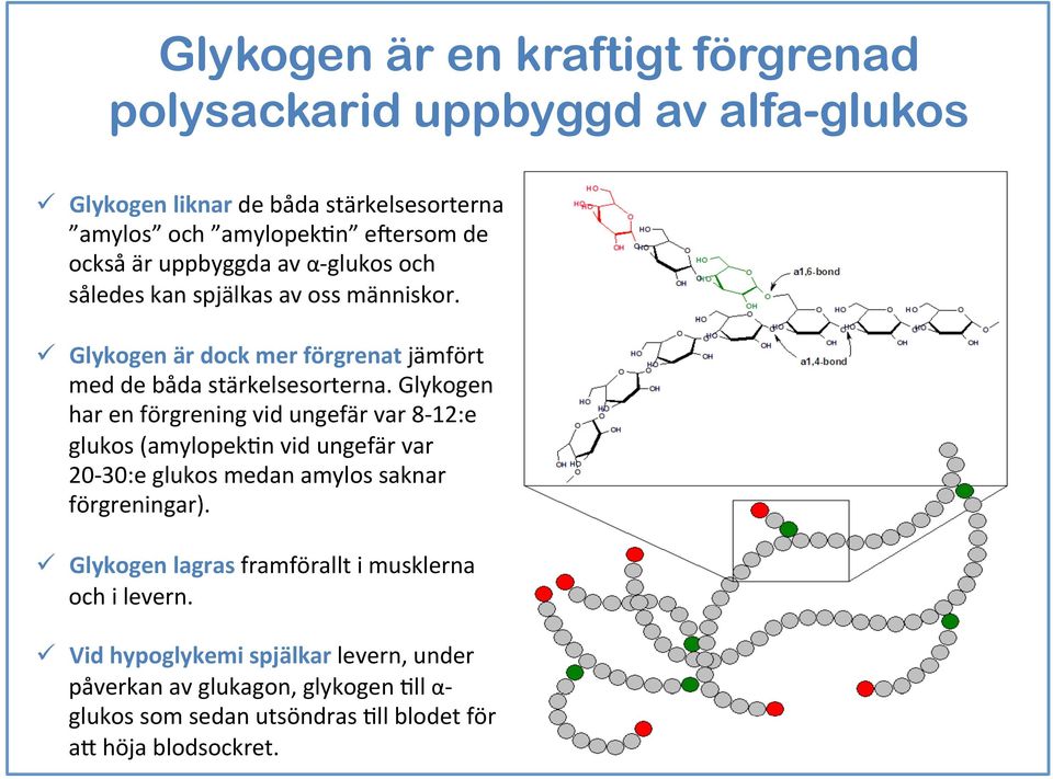 Glykogen har en förgrening vid ungefär var 8-12:e glukos (amylopekan vid ungefär var 20-30:e glukos medan amylos saknar förgreningar).