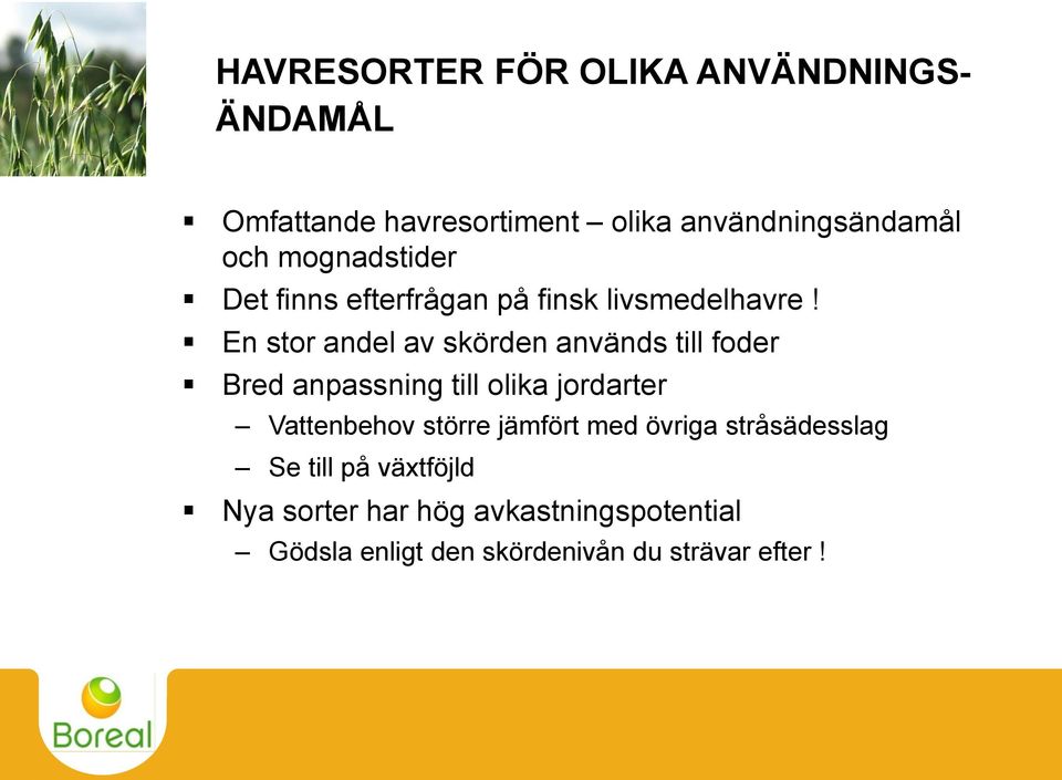 En stor andel av skörden används till foder Bred anpassning till olika jordarter Vattenbehov större