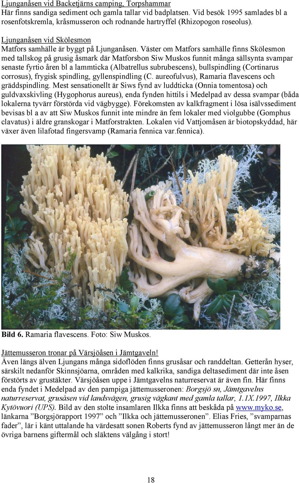 Väster om Matfors samhälle finns Skölesmon med tallskog på grusig åsmark där Matforsbon Siw Muskos funnit många sällsynta svampar senaste fyrtio åren bl a lammticka (Albatrellus subrubescens),