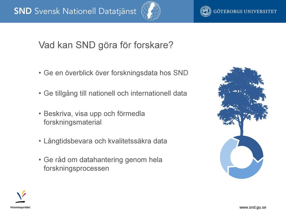 nationell och internationell data Beskriva, visa upp och förmedla