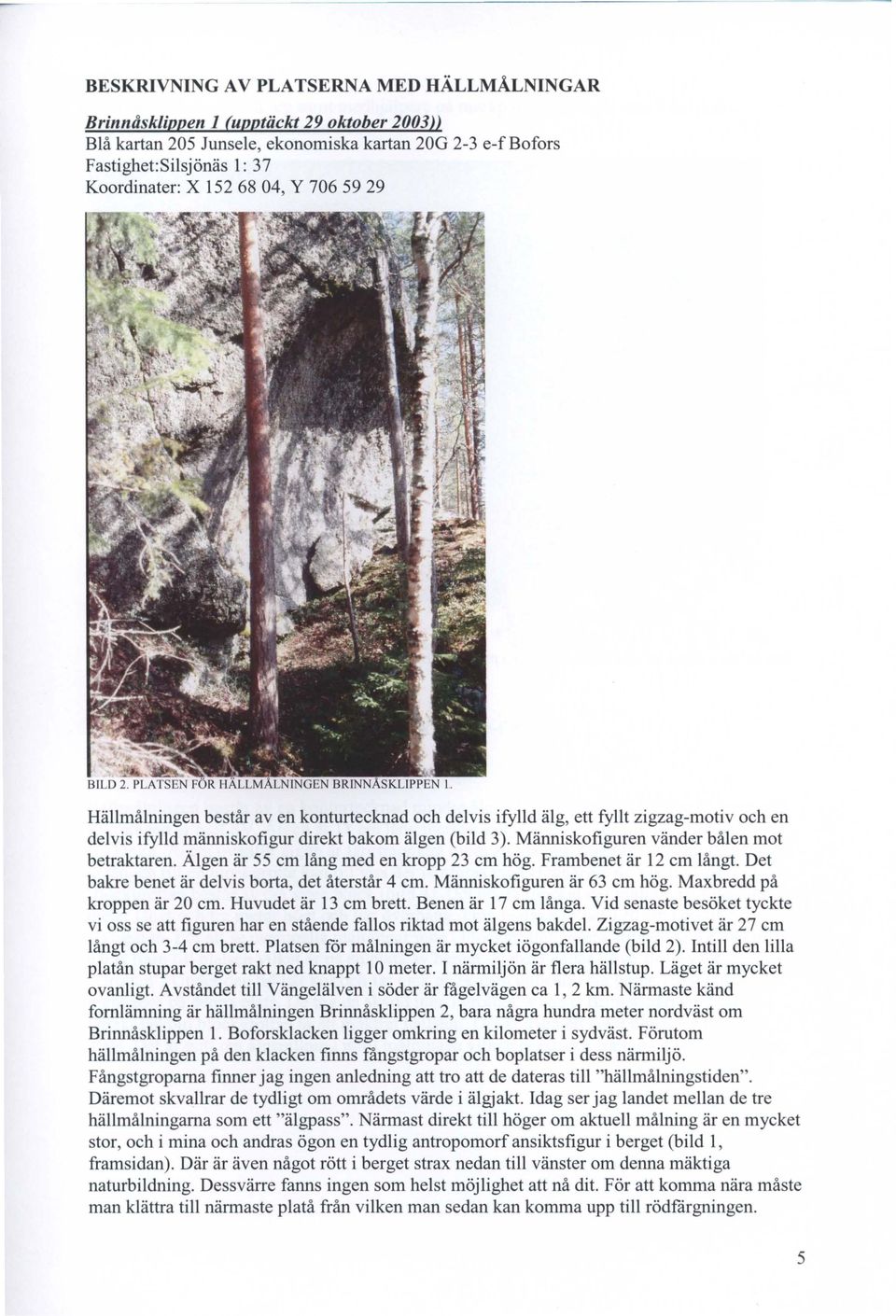 Hällmålningen består aven konturtecknad och delvis ifylld älg, ett fyllt zigzag-motiv och en delvis ifylld människofigur direkt bakom älgen (bild 3). Människofiguren vänder bålen mot betraktaren.