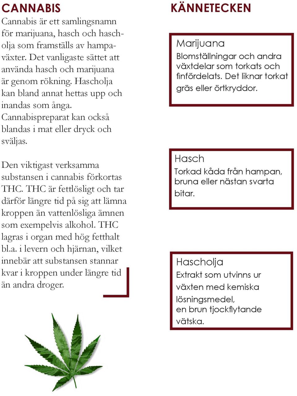 THC är fettlösligt och tar därför längre tid på sig att lämna kroppen än vattenlösliga ämnen som exempelvis alkohol. THC lagras i organ med hög fetthalt bl.a. i levern och hjärnan, vilket innebär att substansen stannar kvar i kroppen under längre tid än andra droger.