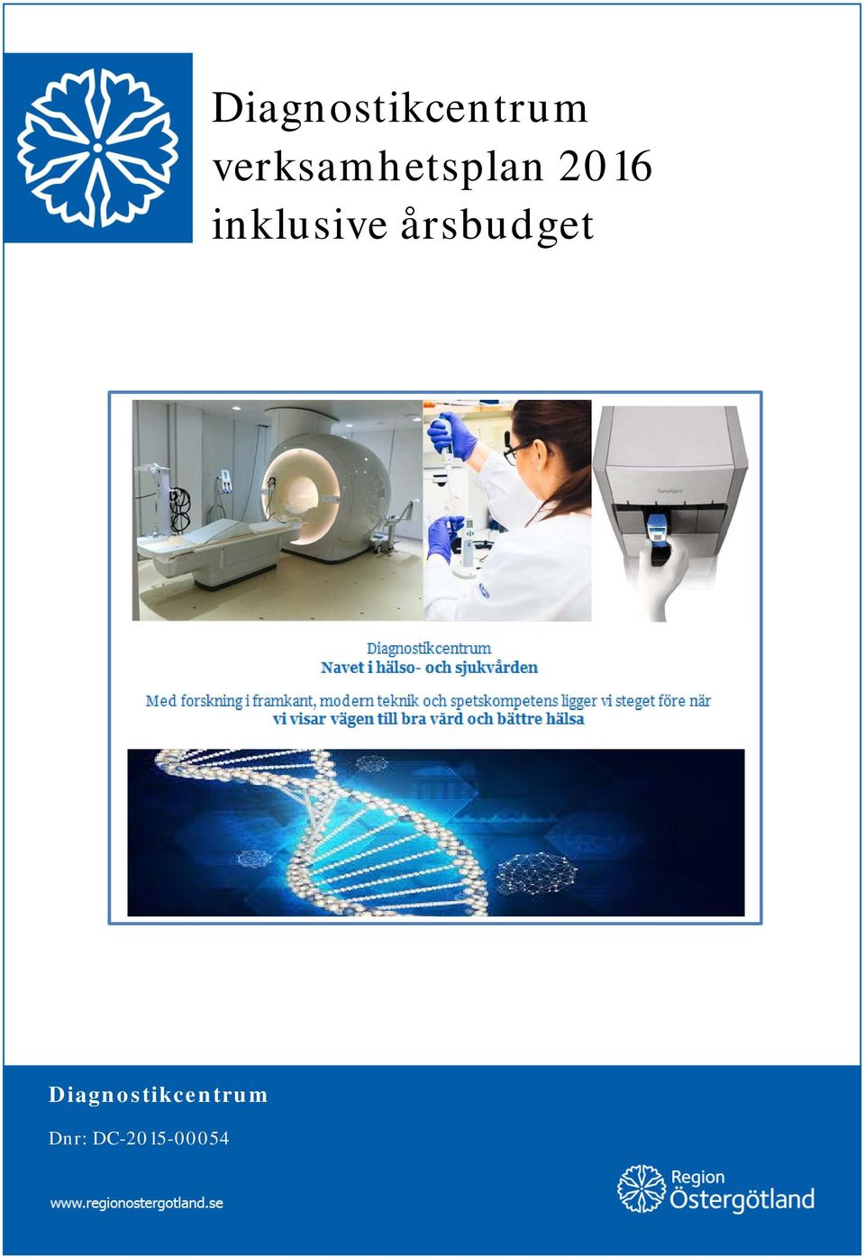 inklusive årsbudget 
