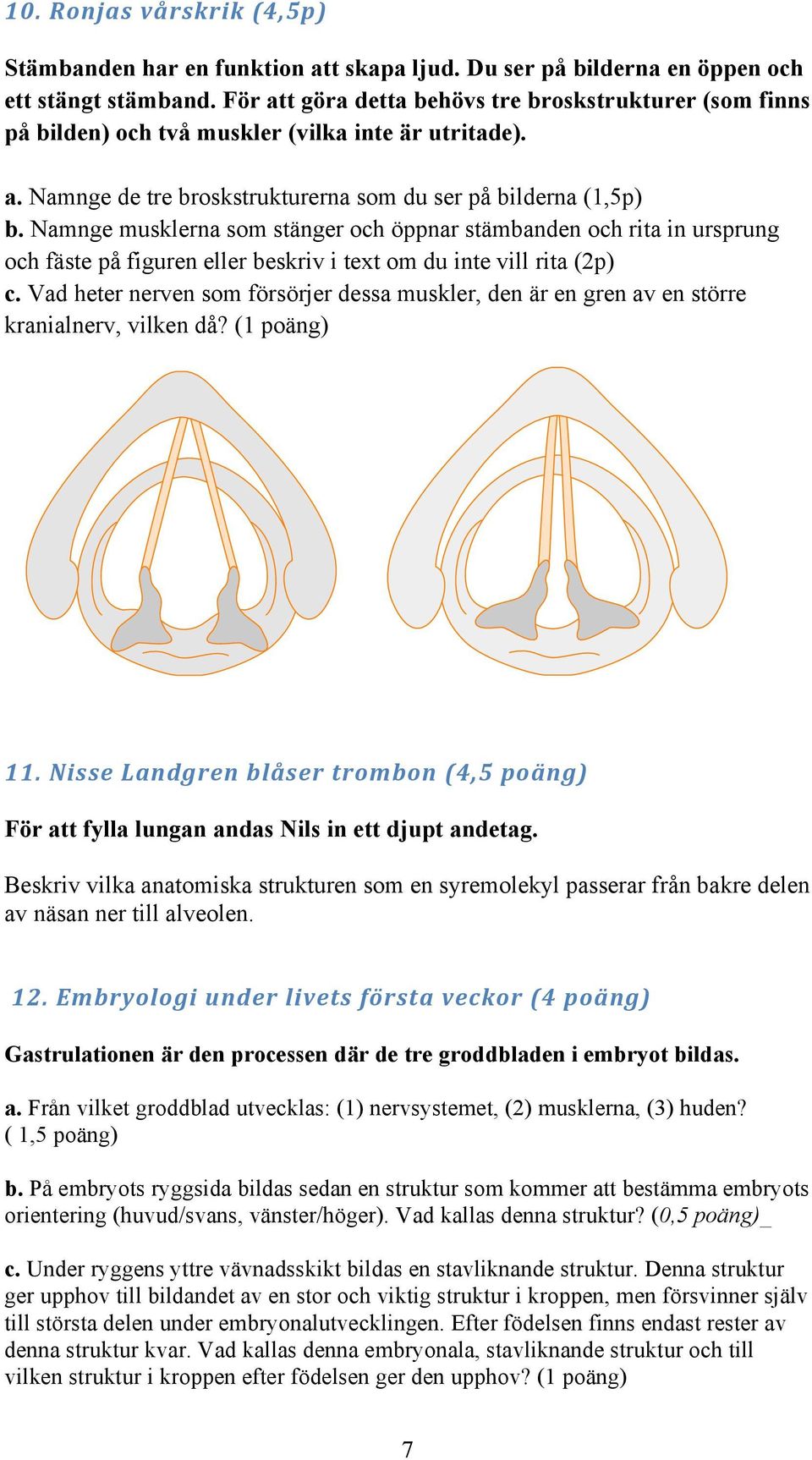 Namnge musklerna som stänger och öppnar stämbanden och rita in ursprung och fäste på figuren eller beskriv i text om du inte vill rita (2p) c.