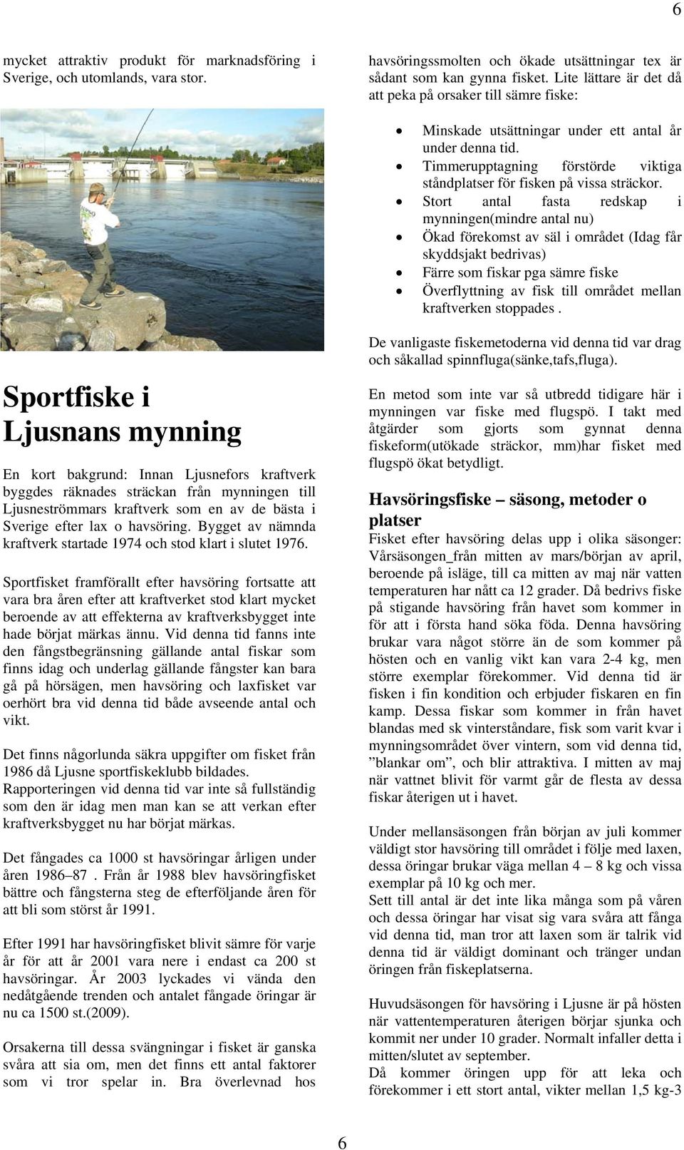 Stort antal fasta redskap i mynningen(mindre antal nu) Ökad förekomst av säl i området (Idag får skyddsjakt bedrivas) Färre som fiskar pga sämre fiske Överflyttning av fisk till området mellan