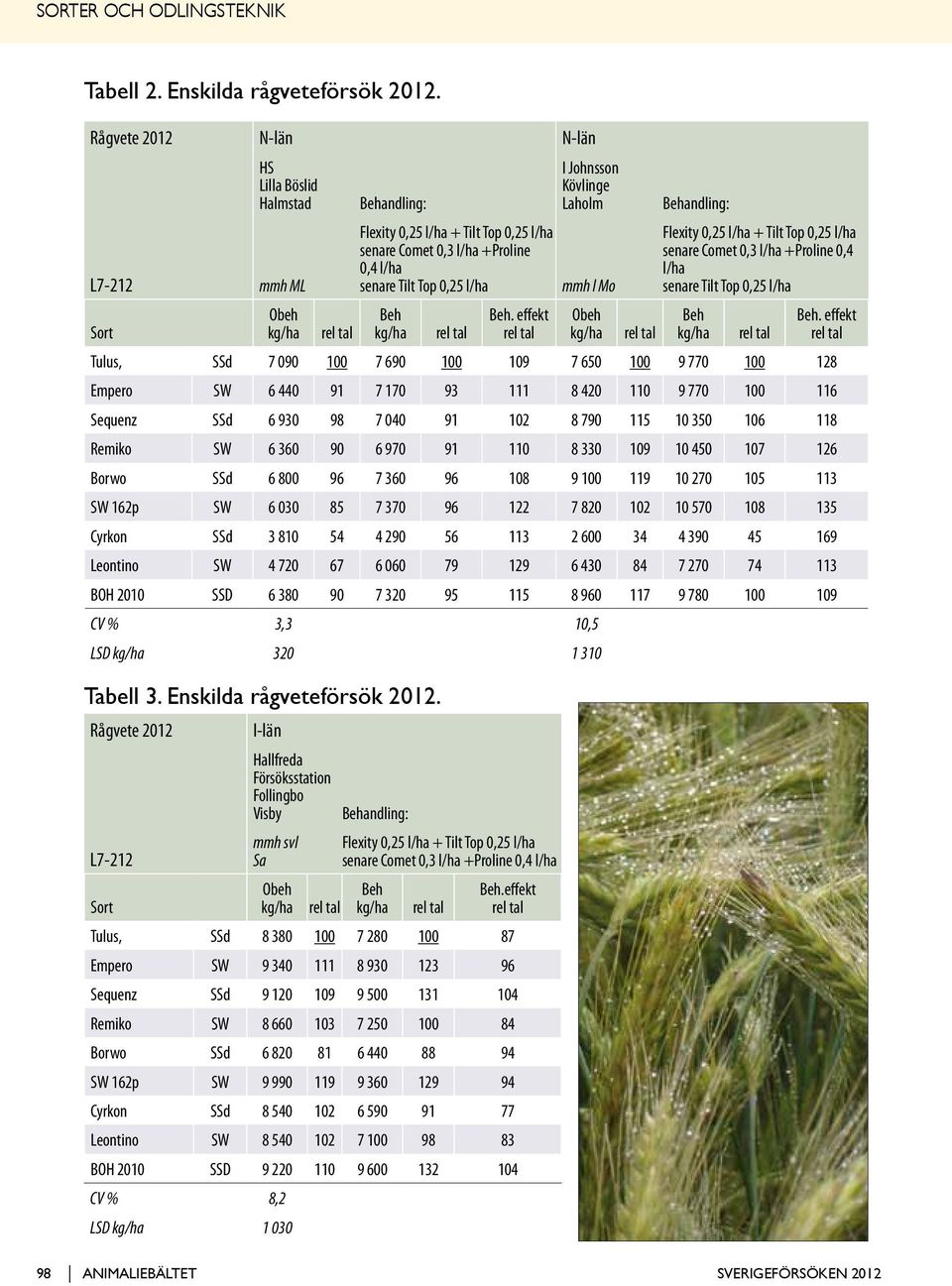 Rågvete 2012 I-län I Johnsson Kövlinge Behandling: Laholm Flexity 0,2 l/ha + Tilt Top 0,2 l/ha senare Comet 0, l/ha +Proline 0, l/ha senare Tilt Top 0,2 l/ha mmh l Mo Behandling: Flexity 0,2 l/ha +