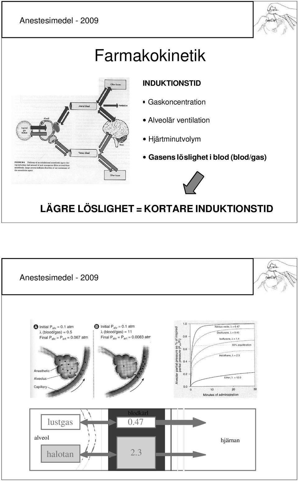 i blod (blod/gas) LÄGRE LÖSLIGHET = KORTARE