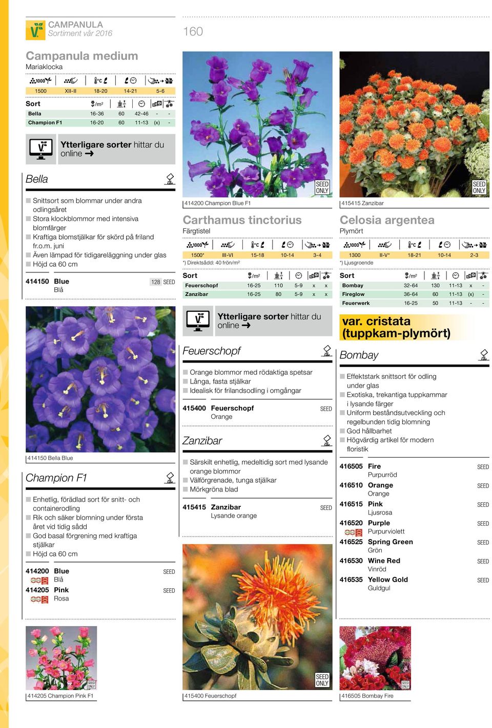 or med intensiva blomfärger Kraftiga blomstjälkar för skörd på friland fr.o.m. juni Även lämpad för tidigareläggning under glas Höjd ca 60 cm 414200 Champion Blue F1 Carthamus tinctorius Färgtistel