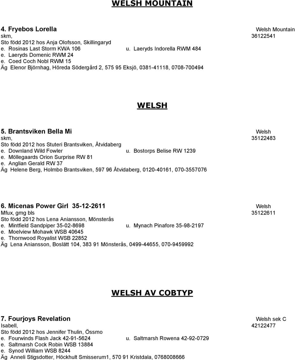 Brantsviken Bella Mi Welsh skm, 35122483 Sto född 2012 hos Stuteri Brantsviken, Åtvidaberg e. Downland Wild Fowler u. Bostorps Belise RW 1239 e. Möllegaards Orion Surprise RW 81 e.