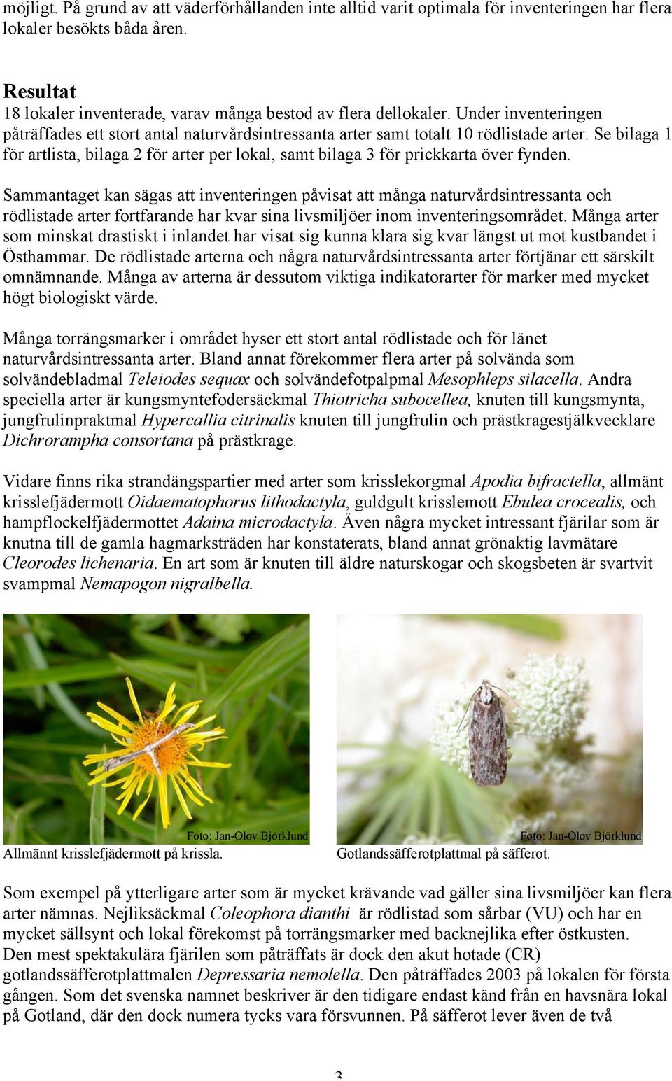 Se bilaga 1 för artlista, bilaga 2 för arter per lokal, samt bilaga 3 för prickkarta över fynden.