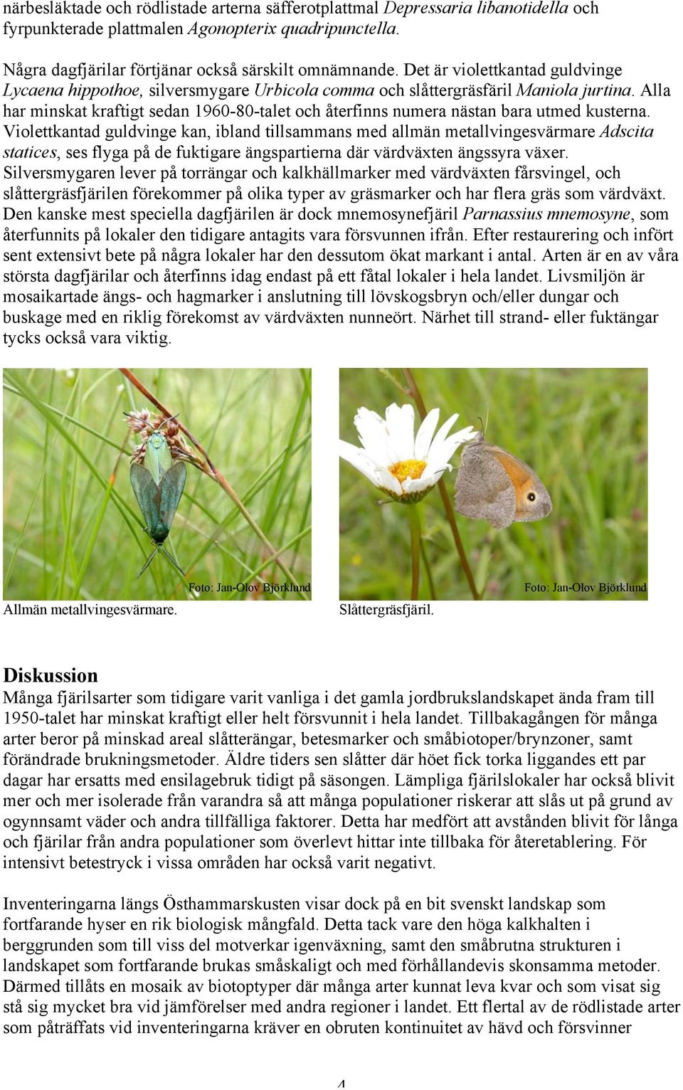 Alla har minskat kraftigt sedan 1960-80-talet och återfinns numera nästan bara utmed kusterna.